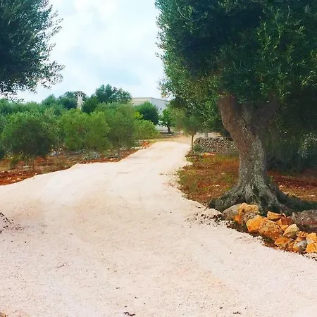 Casa vacanze Trullo Happy Sunrise